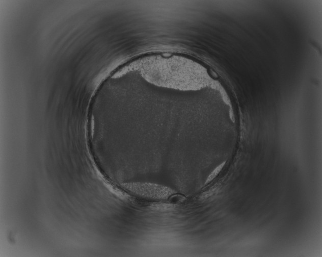 X0000103221237200809251128