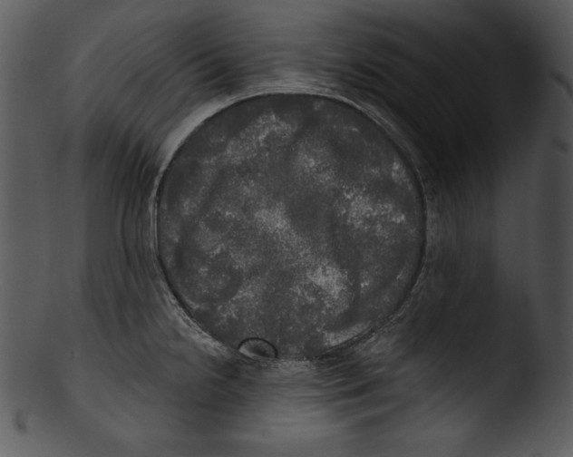 X0000103221238200809251128