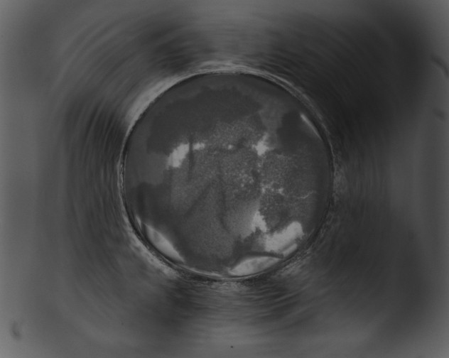 X0000103221239200809251128