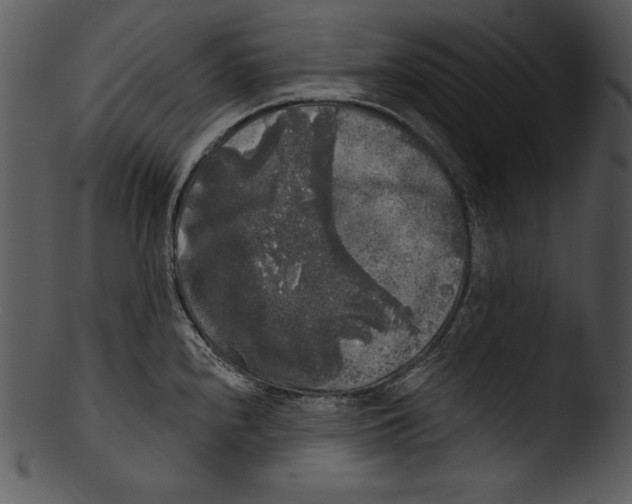 X0000103221240200809251128