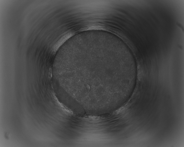 X0000103221241200809251128