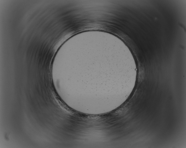 X0000103221242200809251128