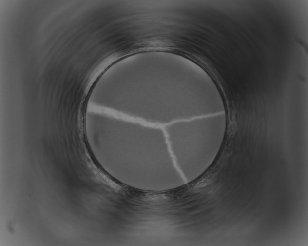 X0000103221243200809251128