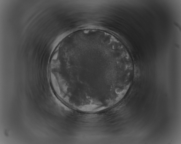 X0000103221247200809251128