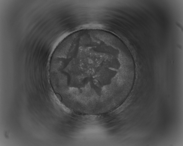 X0000103221248200809251128