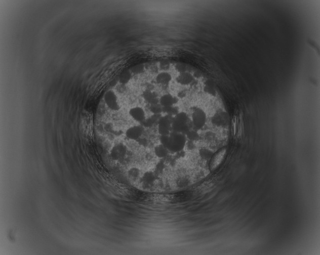 X0000103221251200809251127