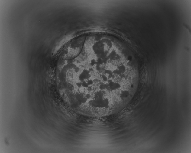 X0000103221255200809251127