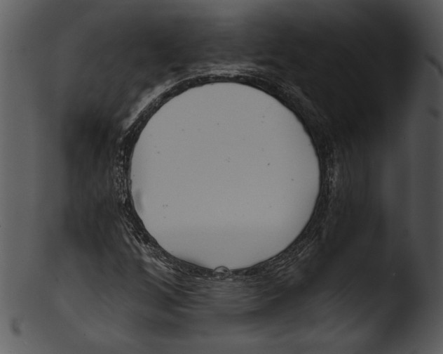 X0000103221256200809251127