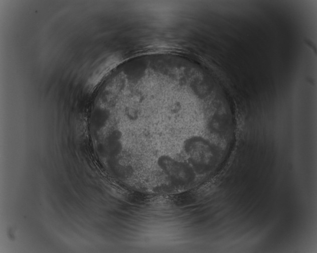 X0000103221259200809251127