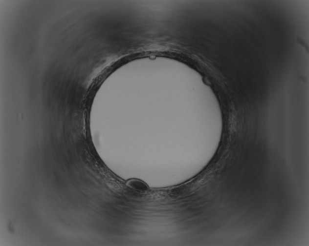 X0000103221262200809251127