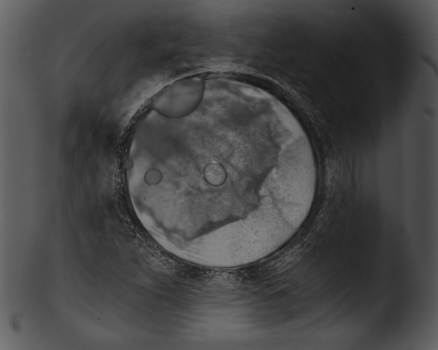 X0000103221263200809251127