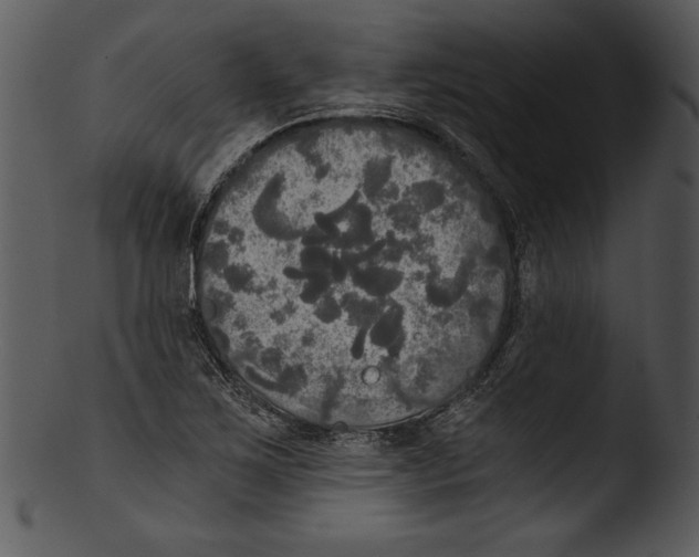 X0000103221267200809251127