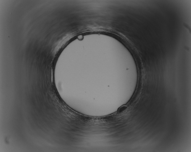 X0000103221269200809251127