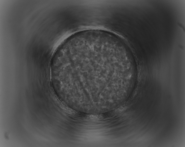 X0000103221271200809251127