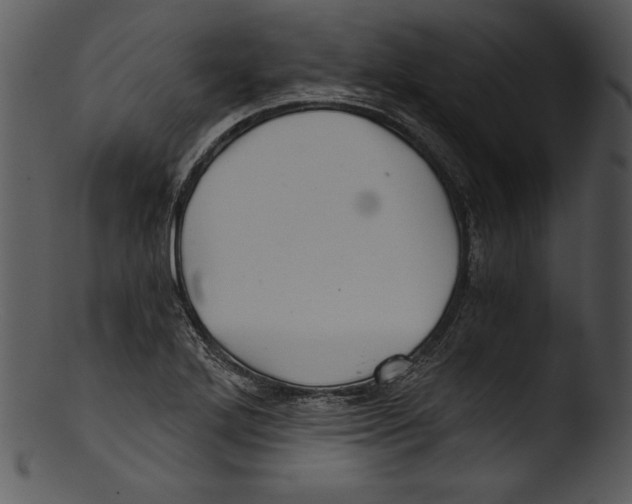 X0000103221272200809251127