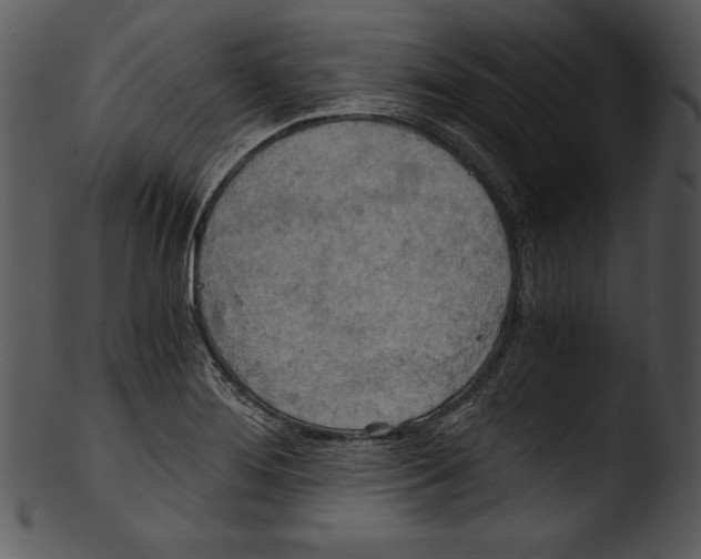 X0000103221276200809251127