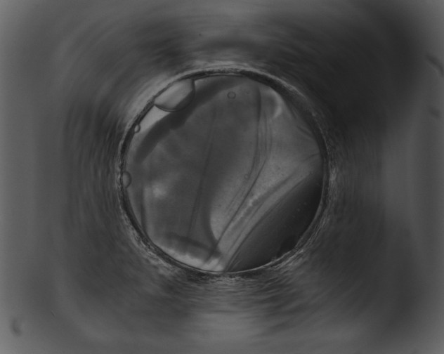 X0000103221279200809251127