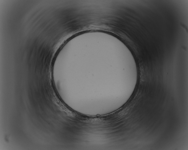 X0000103221280200809251127