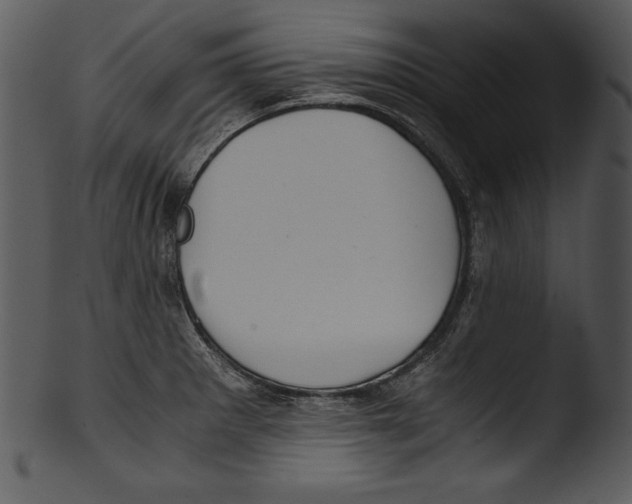 X0000103221281200809251127