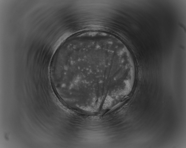 X0000103221283200809251127