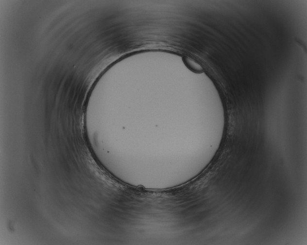 X0000103221284200809251127