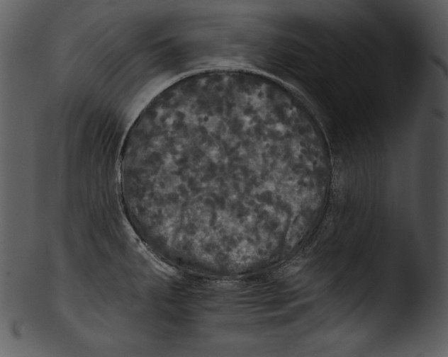 X0000103221287200809251127