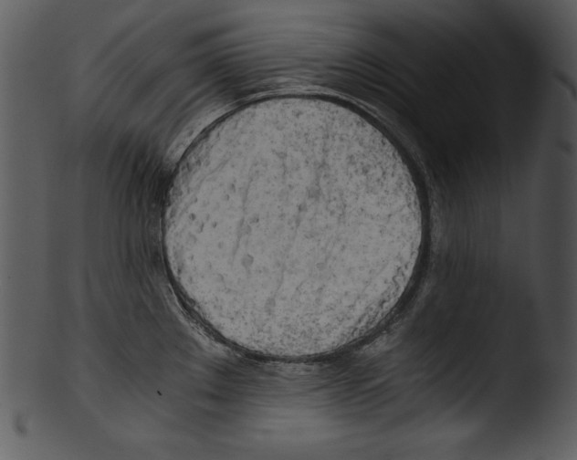 X0000103221289200809251127