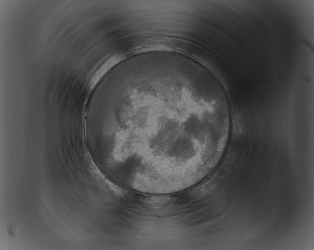 X0000103221290200809251127