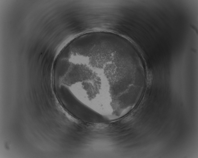 X0000103221294200809251126