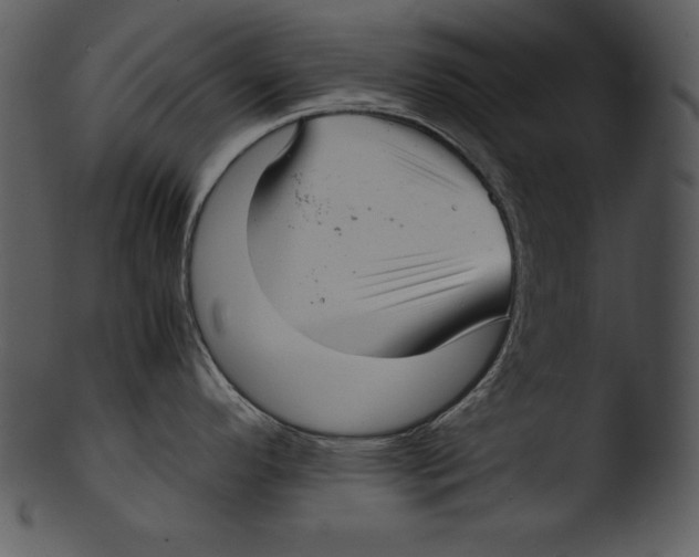 X0000103221296200809251126