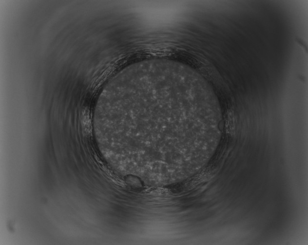 X0000103221298200809251126