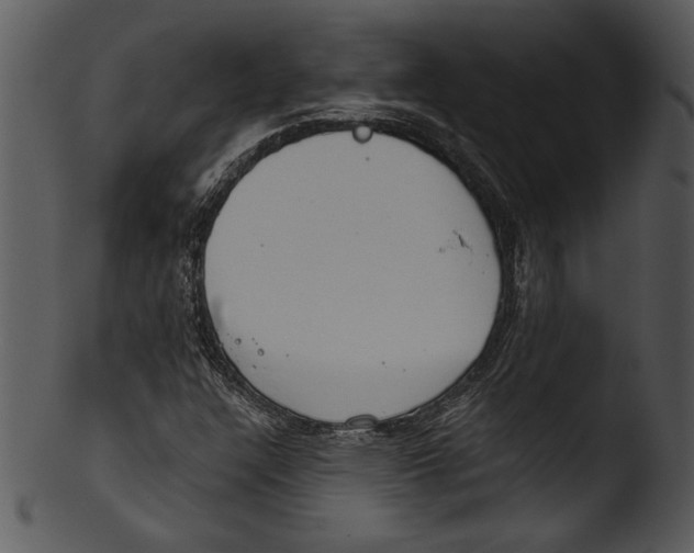 X0000103221304200809251126