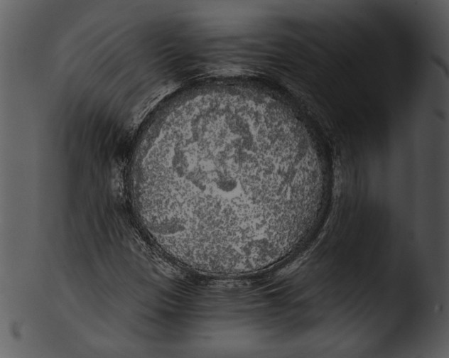 X0000103221305200809251126