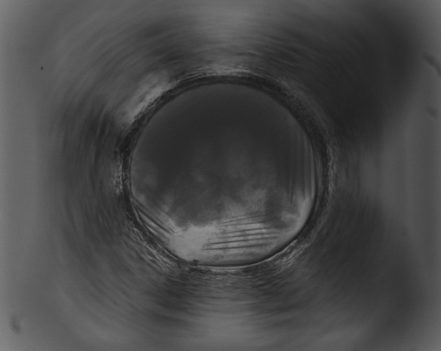 X0000103221306200809251126