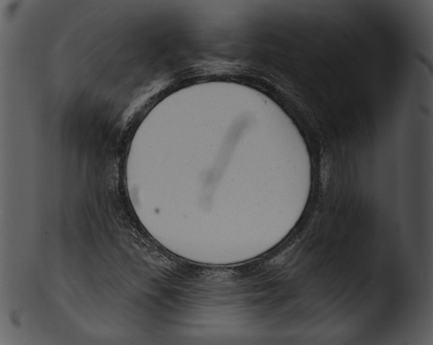 X0000103221309200809251126