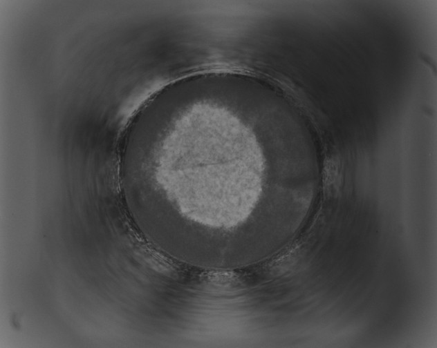 X0000103221310200809251126