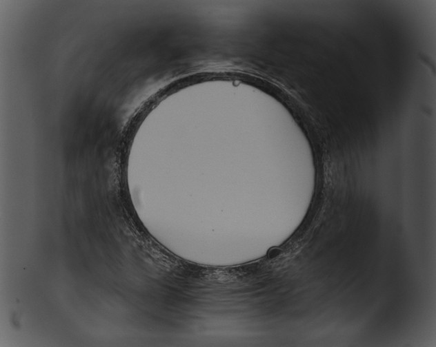 X0000103221311200809251126