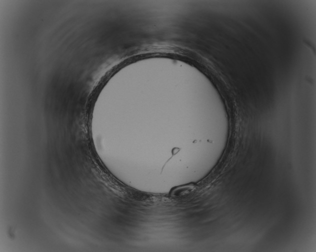 X0000103221312200809251126