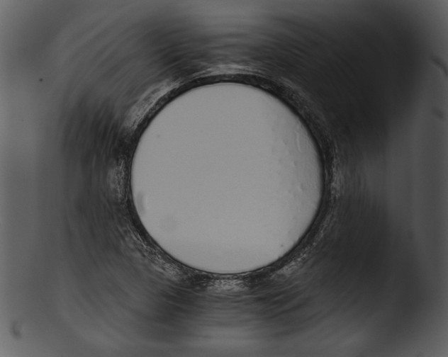 X0000103221313200809251126