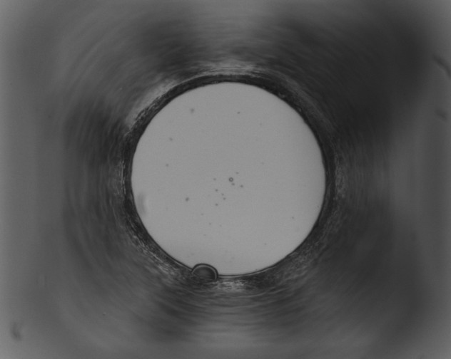 X0000103221315200809251126