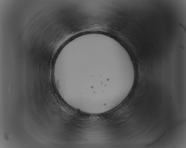 X0000103221316200809251126