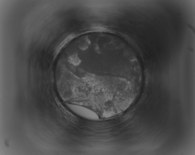 X0000103221318200809251126