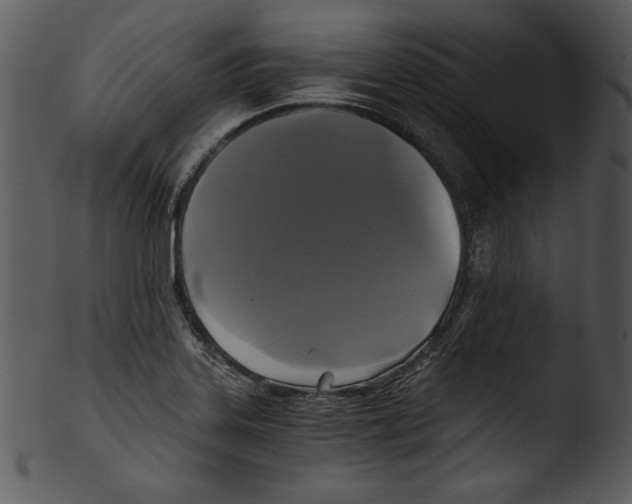 X0000103221323200809251126