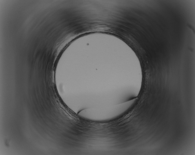 X0000103221324200809251126