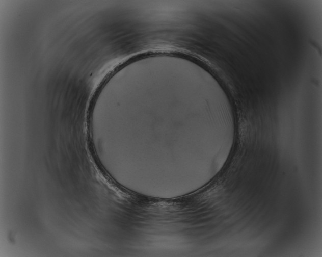 X0000103221327200809251126