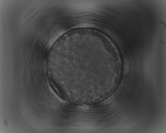 X0000103221329200809251126