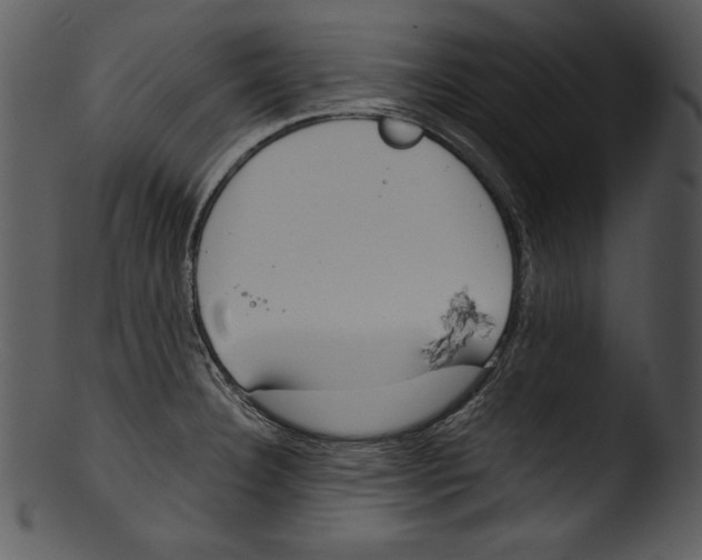 X0000103221332200809251126