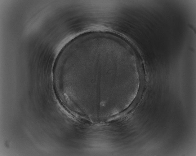 X0000103221335200809251126