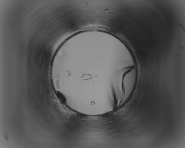 X0000103221336200809251126