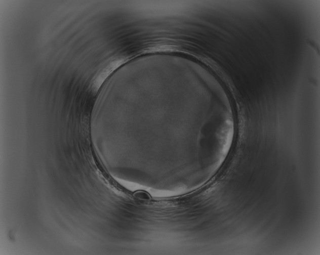 X0000103221337200809251126